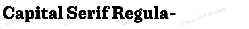 Capital Serif Regula字体转换 Capital Serif Regula字体转换